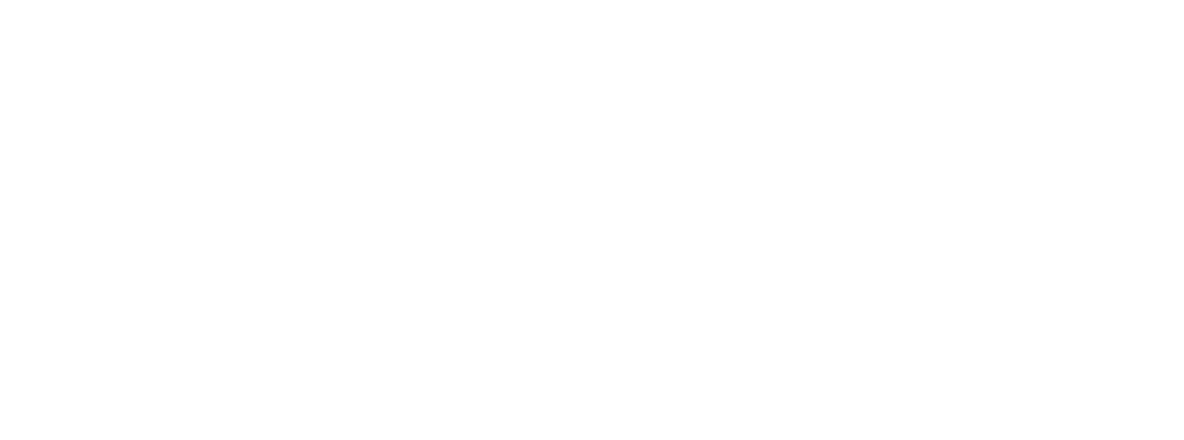 Logo Thủ Thiêm Zeit